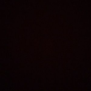 Meet your Posher, Damian